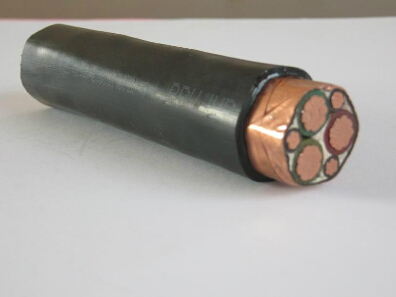0.6/1kV½(lin)ϩ^|