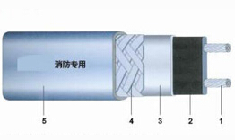 (zhun)pȼ늰Ꭷ