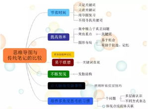 古都西安 思維之網(wǎng)，網(wǎng)絡技術(shù)服務的璀璨融合