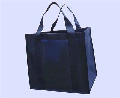 【安徽無紡布廣告袋哪家好(圖)|安徽無紡布廣告袋制作|麗霞日用品】價格_廠家 - 中國供應(yīng)商